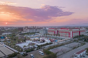 ORANGE COUNTY BELEK *****