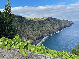 LETECKY - Kouzelné Azorské ostrovy: hortenzie a horké prameny