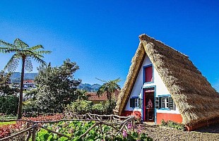 Madeira ostrov květů a slunce, letecky z Brna