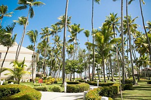 Vista Sol Punta Cana Beach Resort & Spa ****